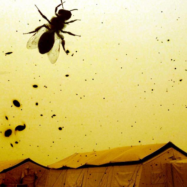 Tammam Azzam 'Refugee Camp', Digital Art, 2012.