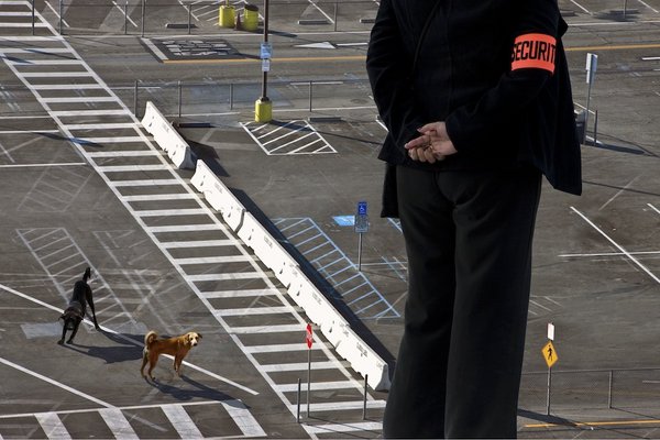 Rameshwar Broota, Between the Lines, 2010