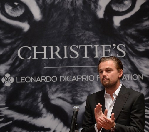 168679320-e1368533781923