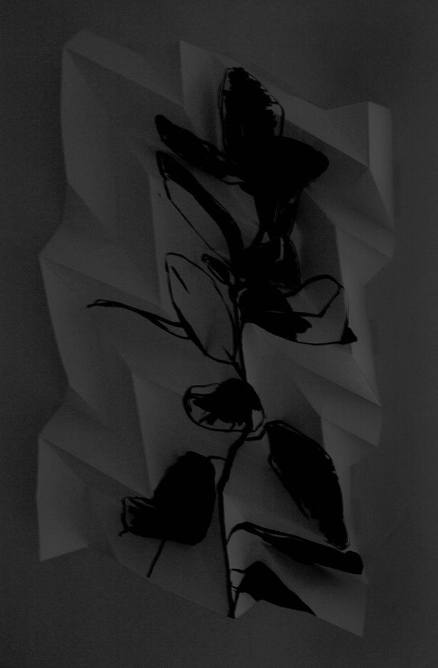 artwork by Isabel Simoes