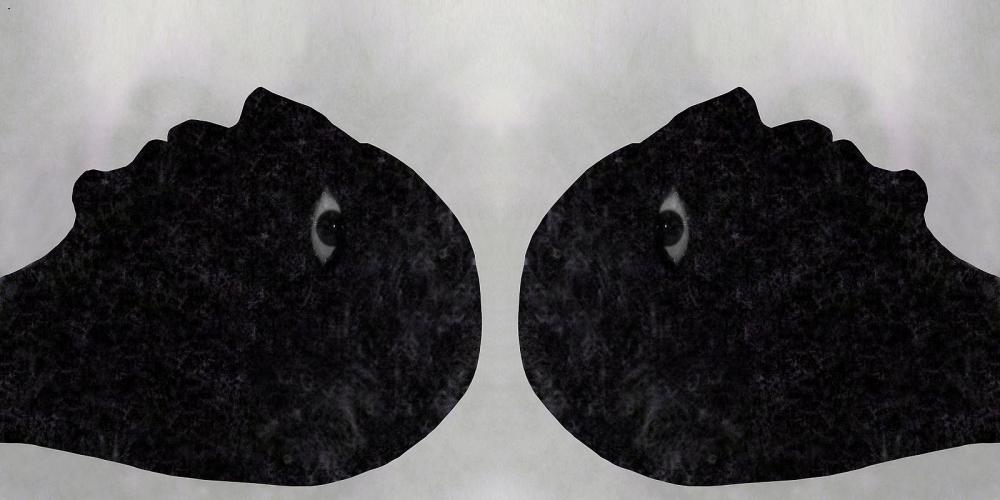 Waiting for Godot series, 2011 lambda print  125 x 250 cm. 