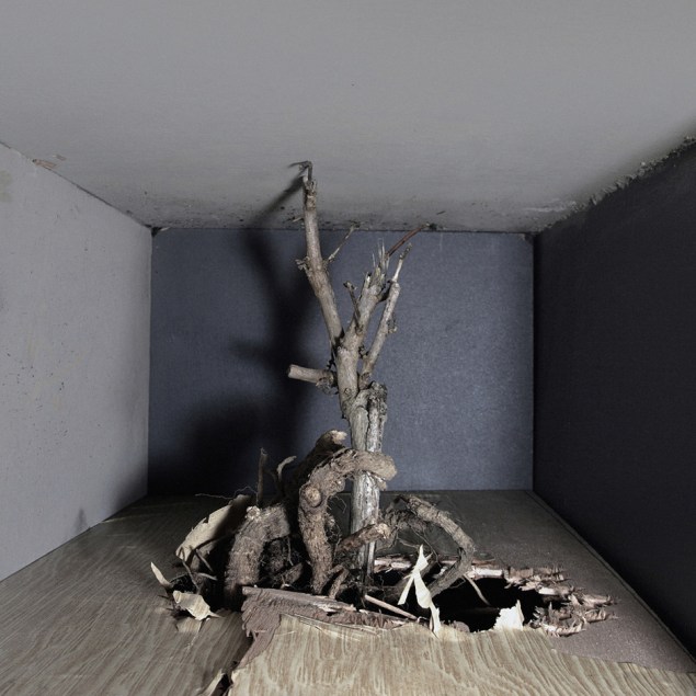 Michel Le Belhomme, THE BLIND BEAST(2013)