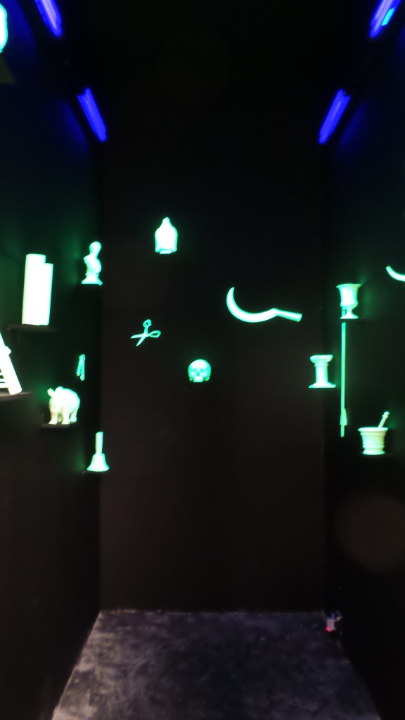 installation by Mark Dion "Underworld Hall" 2013. InSitu Gallery. Art Dubai 2014 (Courtesy: Al Mahha Art)