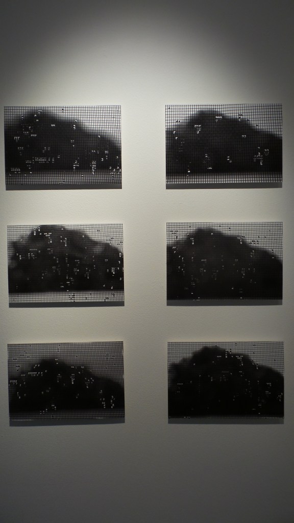 Maitha Demithan "Rain Grids" 2013, digital prints, size varuable. Courtesy to Al Mahha Art