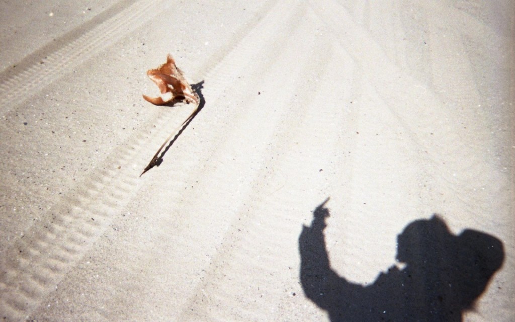 Akhira Montague, I saw myself in Santa Monica, Santa Monica Beach, 2020, Digital c-print on Fujicolor Crystal Archive Luster paper. Courtesy of Alexander Grey Associates
